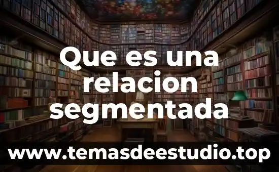 Que es una relacion segmentada