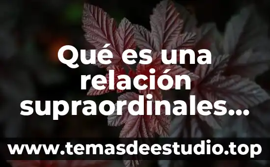 Qué es el estómago concepto 4 Qué es una relación supraordinales Yahoo