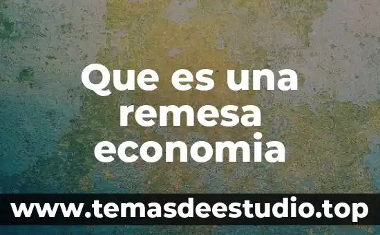 Que es una remesa economia
