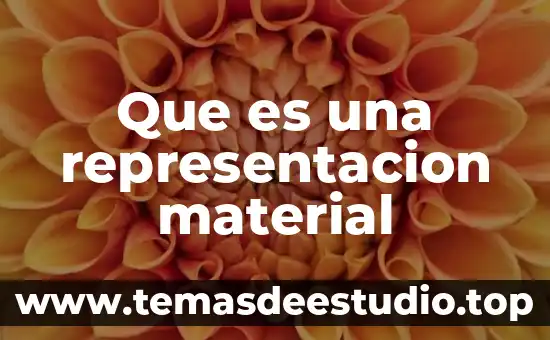 Que es un analisis de representación algebrarica 5 Que es una representacion material