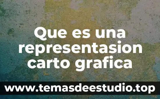 Que es grafica de apoyo dentro de la identidad isual 6 Que es una representasion carto grafica