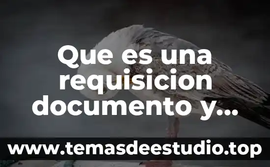 Que es un documento con firma digital 4 Que es una requisicion documento y para que sirve
