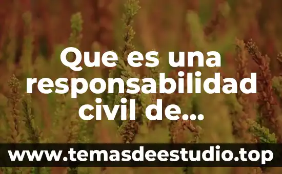 Que es la proteccion de los bienes publicos 4 Que es una responsabilidad civil de servidores publicos