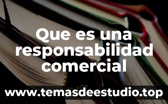 Mega comercial que es 4 Que es una responsabilidad comercial