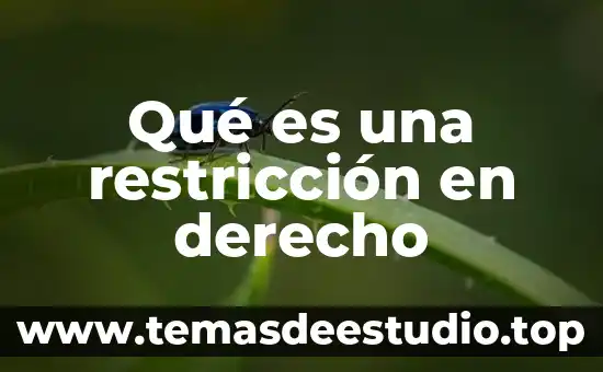 Qué es una restricción en derecho