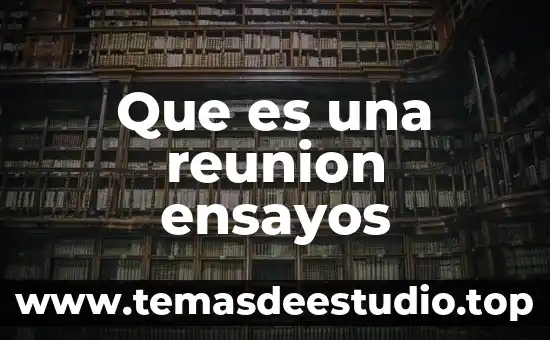 Ensayos escritos que es 6 Que es una reunion ensayos