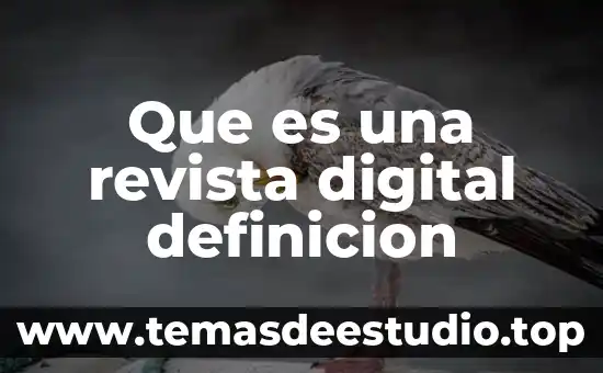Que es una revista digital definicion