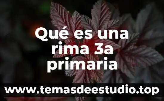 Qué es una rima 3a primaria