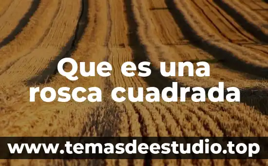 Que es nariz cuadrada 7 Que es una rosca cuadrada