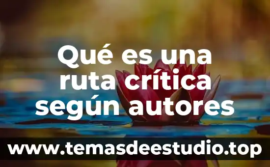 Qué es la teoría crítica en la investigación cualitativa 4 Qué es una ruta crítica según autores