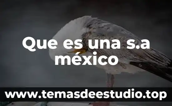 Que es una s.a méxico