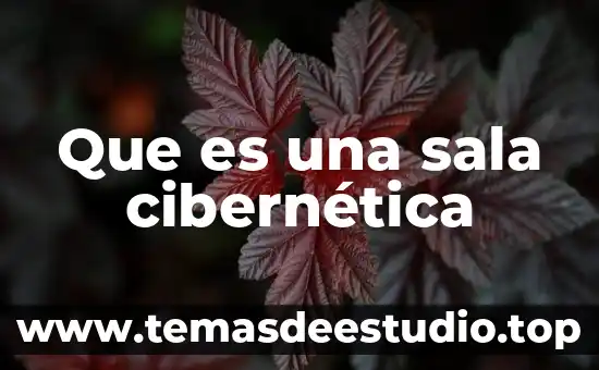 Que es una sala cibernética