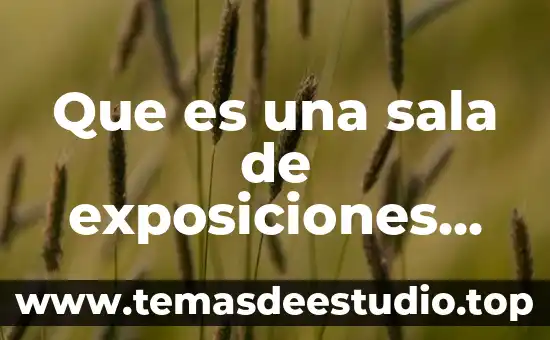 Que es una sala de chat irc 5 Que es una sala de exposiciones definicion