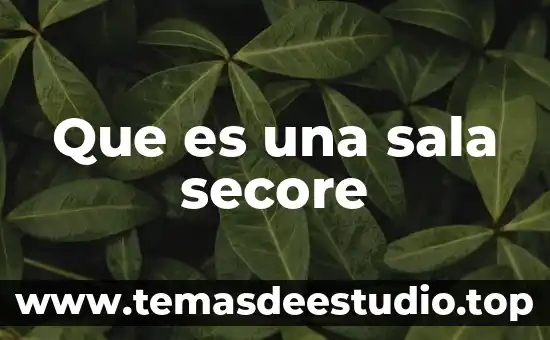 Que es una sala de chat irc 3 Que es una sala secore