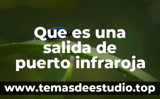 Que es una salida de puerto infraroja