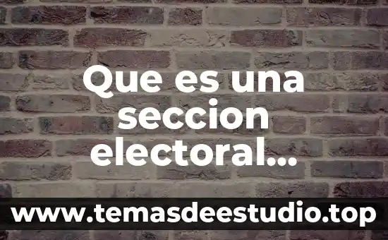Que es una seccion electoral mexico