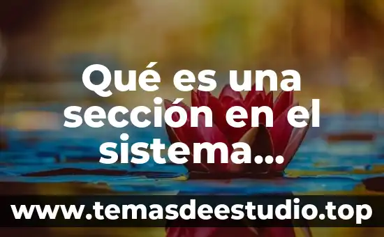 Que es fondo sección serie y unidad documental 8 Qué es una sección en el sistema armonizado