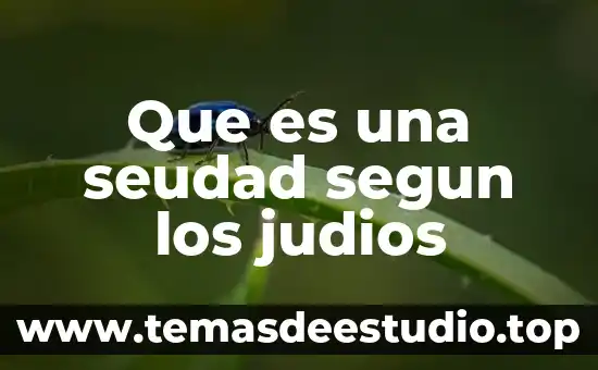 Que es un paradigma segun raul avila 7 Que es una seudad segun los judios