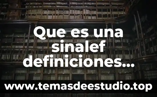 Que es un relato historicoy su ejemplo 5 Que es una sinalef definiciones largas y su ejemplo