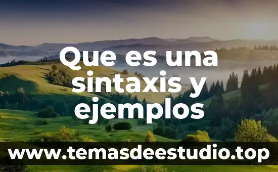 Que es una sintaxis y ejemplos