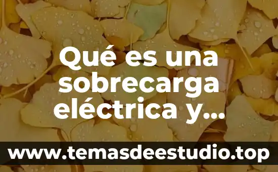Que es una planta de electrica 7 Qué es una sobrecarga eléctrica y cortocircuito