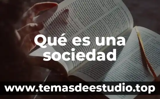 Qué es una sociedad