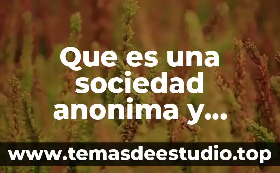 Que es nesesario para que una sociedad funcione 5 Que es una sociedad anonima y sociedad de responsabilidd limitaa