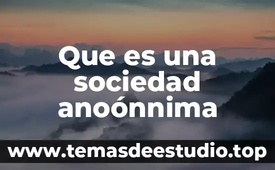Que es sociedad en movimiento 3 Que es una sociedad anoónnima