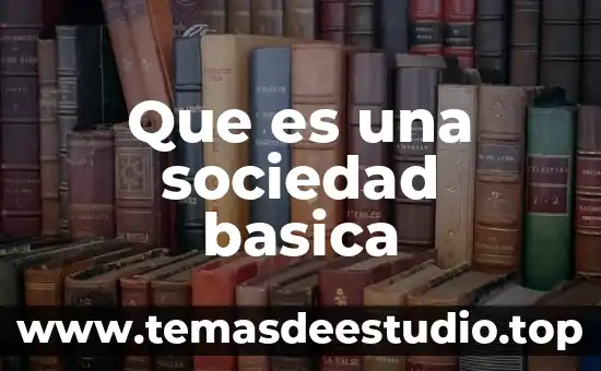 Que es una sociedad anonima y sociedad de responsabilidd limitaa 5 Que es una sociedad basica
