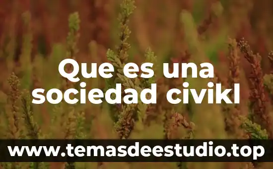 Que es una sociedad dete 7 Que es una sociedad civikl