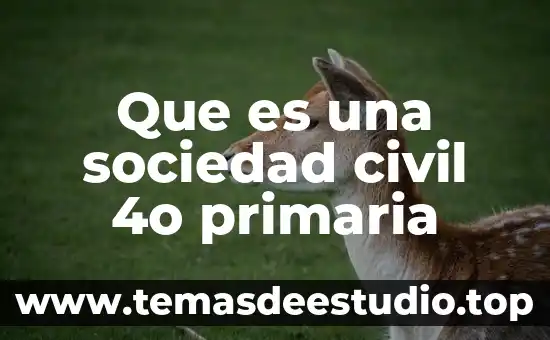 Código civil cdmx que es 3 Que es una sociedad civil 4o primaria