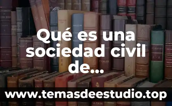 Que es mirada limitada en la literatura 8 Qué es una sociedad civil de responsabilidad limitada