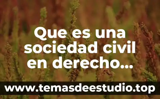 Que es una sociedad civil en derecho mercantil