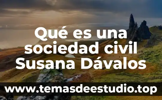 Que es un acto de comercio civil 4 Qué es una sociedad civil Susana Dávalos