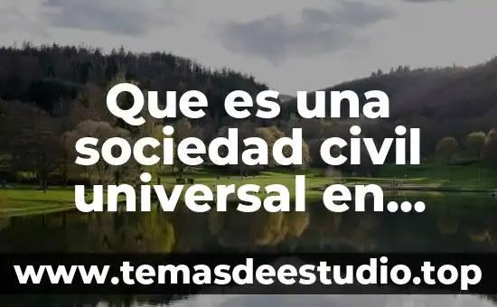 Que es una sociedad civil universal en mexico