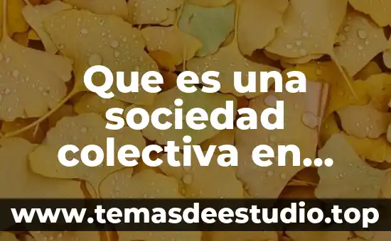 Que es una sociedad colectiva en mexico ventajas y desventajas