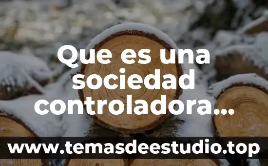 Que es un libro aguilon 7 Que es una sociedad controladora filial