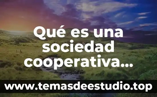 Qué es una sociedad cooperativa ordinaria