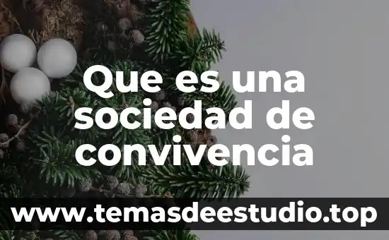 Que es una sociedad de convivencia