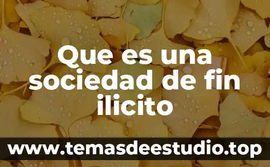 Qué es materia sustantiva y materia adjetiva en derecho 3 Que es una sociedad de fin ilicito