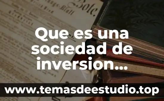Que es una sociedad de inversion ejemplo