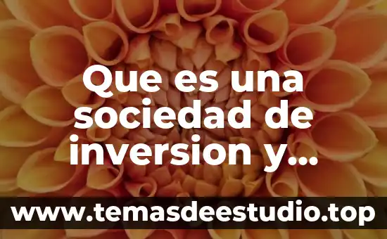 Que es una sociedad de inversion y como se escribe