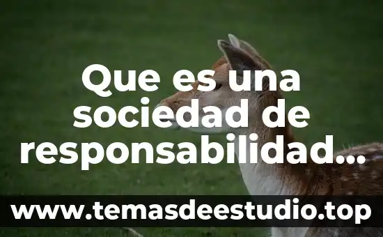 Qué es una sociedad civil de responsabilidad limitada 6 Que es una sociedad de responsabilidad limitada en honduras