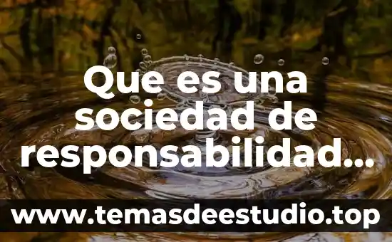 Qué es una sociedad civil de responsabilidad limitada 7 Que es una sociedad de responsabilidad limitada responsabilidad