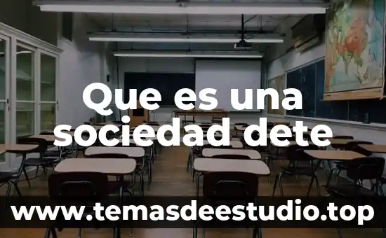 Que es una sociedad civikl 3 Que es una sociedad dete