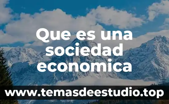 Que es una sociedad economica