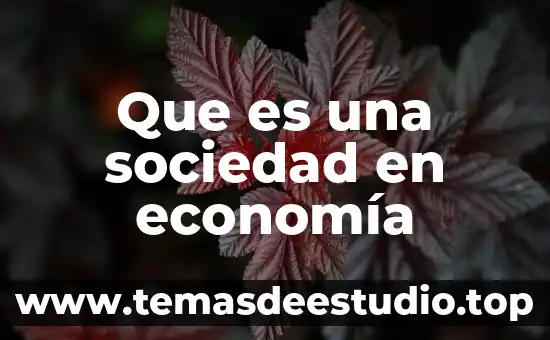 Que es la sociedad posmoderna 8 Que es una sociedad en economía