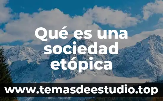 Qué es la gráfica fragmentación en la sociedad 8 Qué es una sociedad etópica