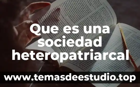 Que es homogeneidad en sociedad 5 Que es una sociedad heteropatriarcal