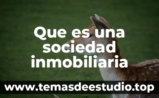 Que es una inmobiliaria y como funciona en chile 6 Que es una sociedad inmobiliaria